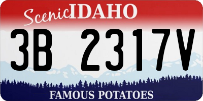 ID license plate 3B2317V