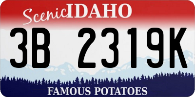 ID license plate 3B2319K