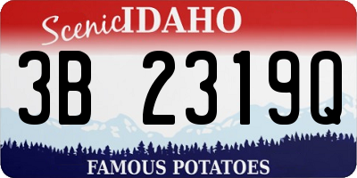 ID license plate 3B2319Q