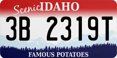 ID license plate 3B2319T
