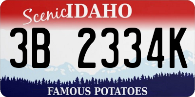 ID license plate 3B2334K