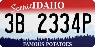 ID license plate 3B2334P