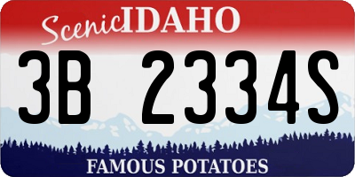ID license plate 3B2334S
