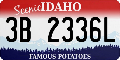 ID license plate 3B2336L