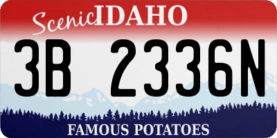 ID license plate 3B2336N