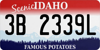 ID license plate 3B2339L