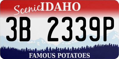 ID license plate 3B2339P