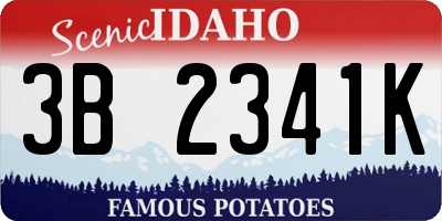 ID license plate 3B2341K