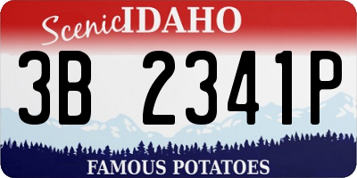 ID license plate 3B2341P