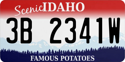 ID license plate 3B2341W