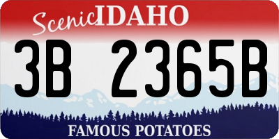 ID license plate 3B2365B