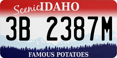 ID license plate 3B2387M