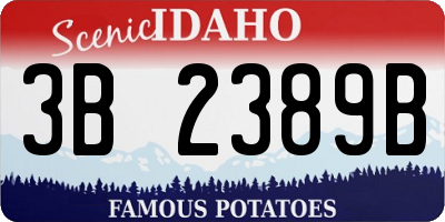 ID license plate 3B2389B