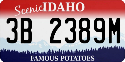 ID license plate 3B2389M