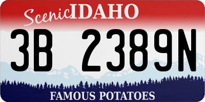 ID license plate 3B2389N