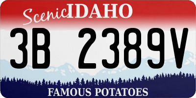 ID license plate 3B2389V