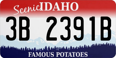ID license plate 3B2391B