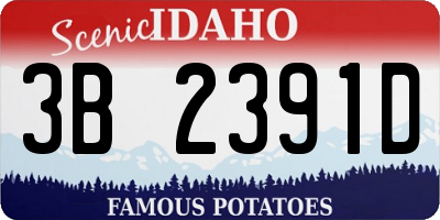 ID license plate 3B2391D