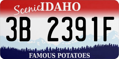ID license plate 3B2391F