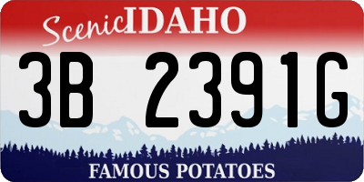 ID license plate 3B2391G