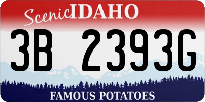 ID license plate 3B2393G