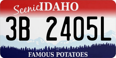 ID license plate 3B2405L
