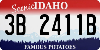 ID license plate 3B2411B