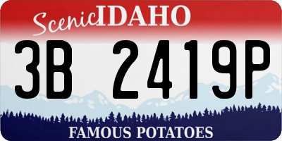ID license plate 3B2419P