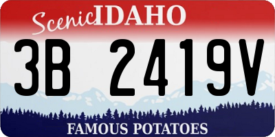 ID license plate 3B2419V