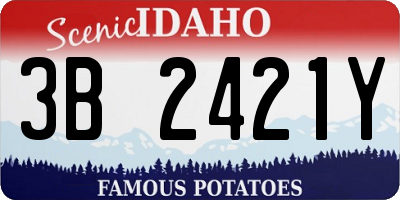 ID license plate 3B2421Y