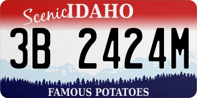 ID license plate 3B2424M