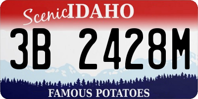 ID license plate 3B2428M