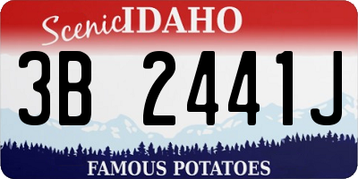 ID license plate 3B2441J