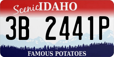 ID license plate 3B2441P