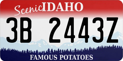 ID license plate 3B2443Z
