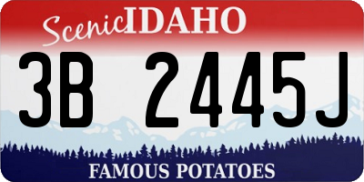 ID license plate 3B2445J