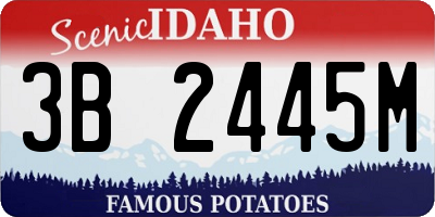 ID license plate 3B2445M