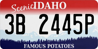 ID license plate 3B2445P