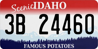 ID license plate 3B2446O