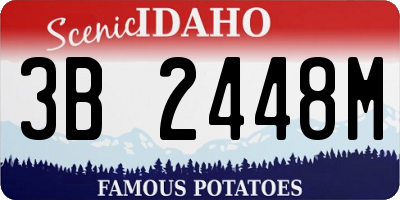 ID license plate 3B2448M