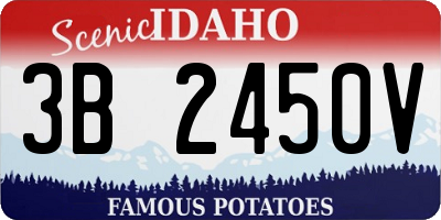 ID license plate 3B2450V