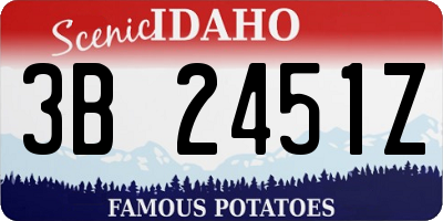ID license plate 3B2451Z