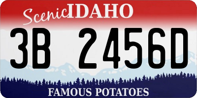 ID license plate 3B2456D