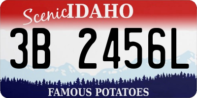 ID license plate 3B2456L
