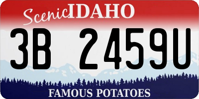 ID license plate 3B2459U