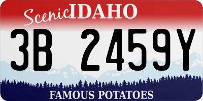 ID license plate 3B2459Y