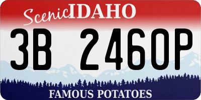 ID license plate 3B2460P