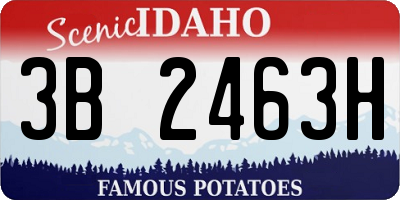 ID license plate 3B2463H