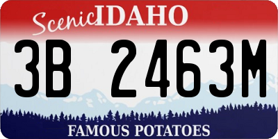 ID license plate 3B2463M
