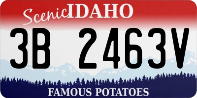 ID license plate 3B2463V